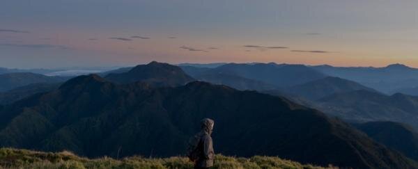 Test Article For Business